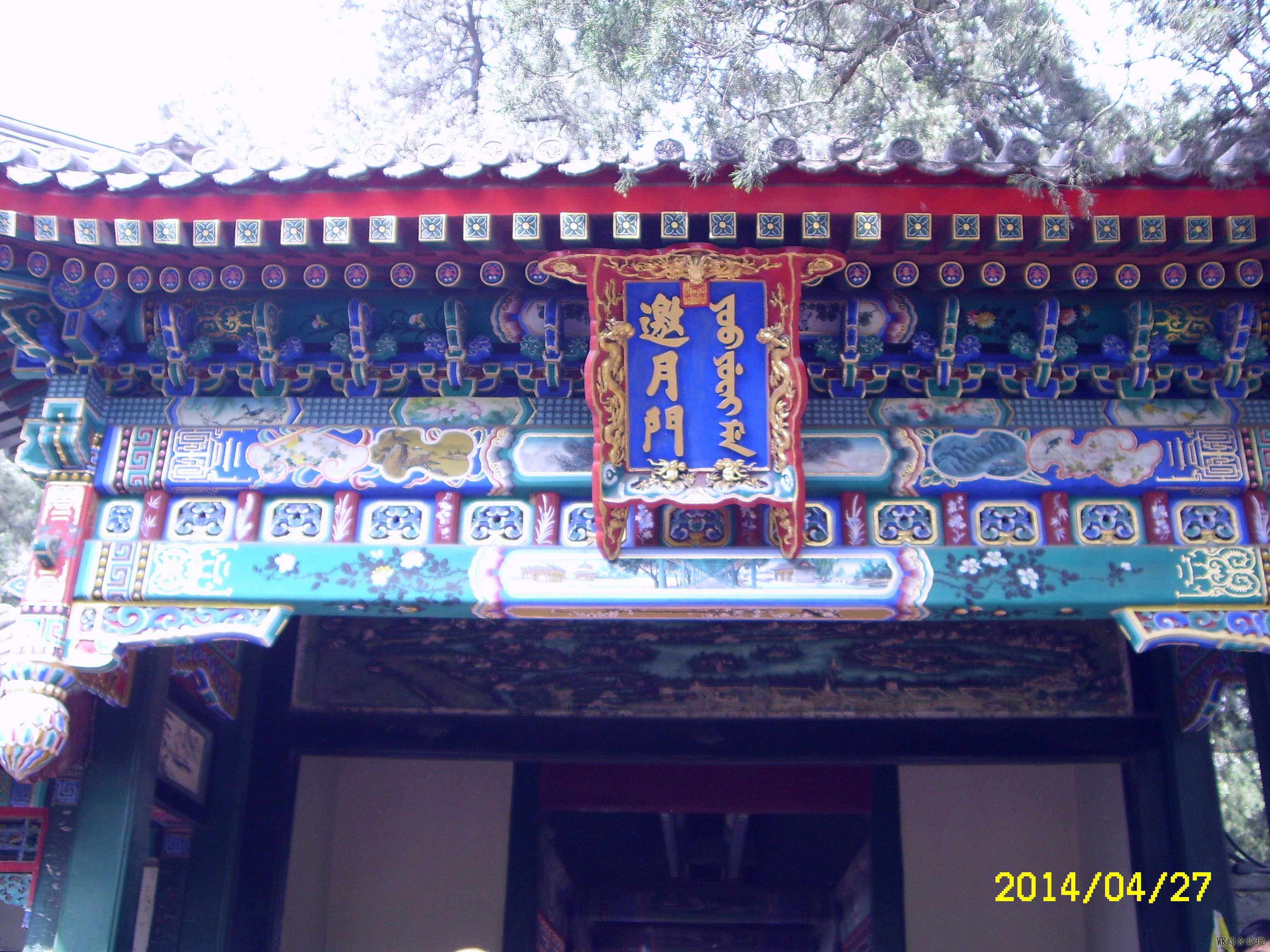 SL702769.JPG