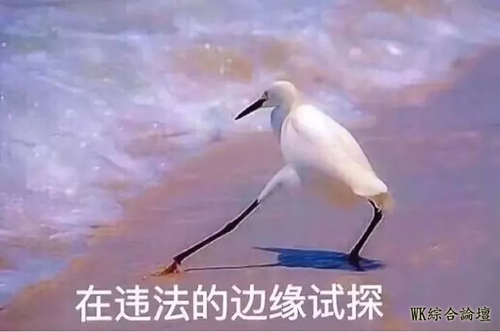 “三十秒搭讪,两小时接吻,六小时推倒......”,这些批量生产的渣男,可能就在我们身边!-15.jpg