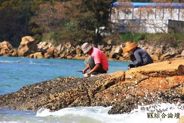 【香港旅游】12座超美小岛,不去后悔!-33.jpg