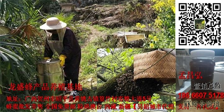 旅游攻略,香港旅游,中山公园-1.jpg