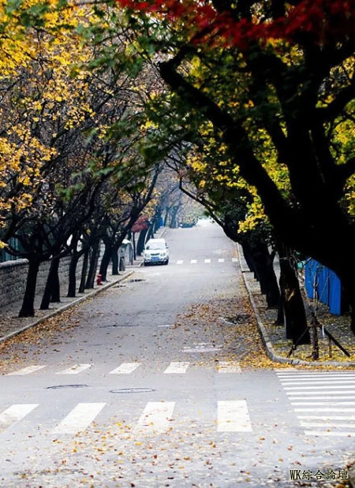 适合一个人旅行的8个地方,累了就去走走!-18.jpg