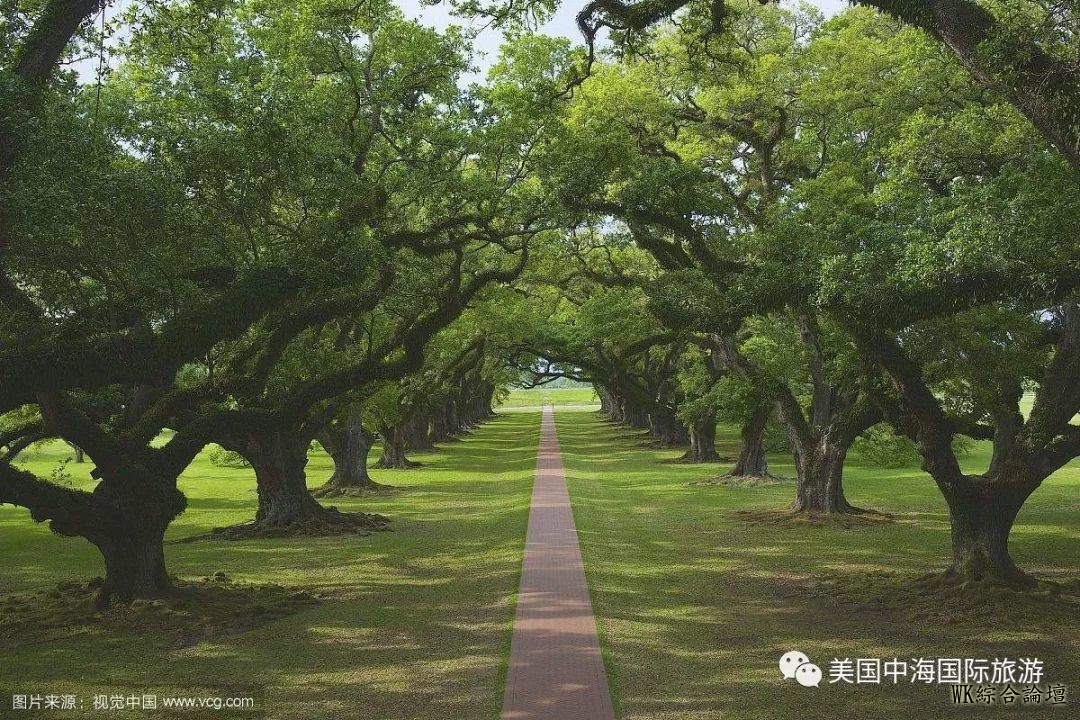 欧洲 12 天,一价全含 99!西欧+南欧12天秋冬惠享之旅.意、德、奥地利、列支敦士登,瑞、法、比利时...-136.jpg