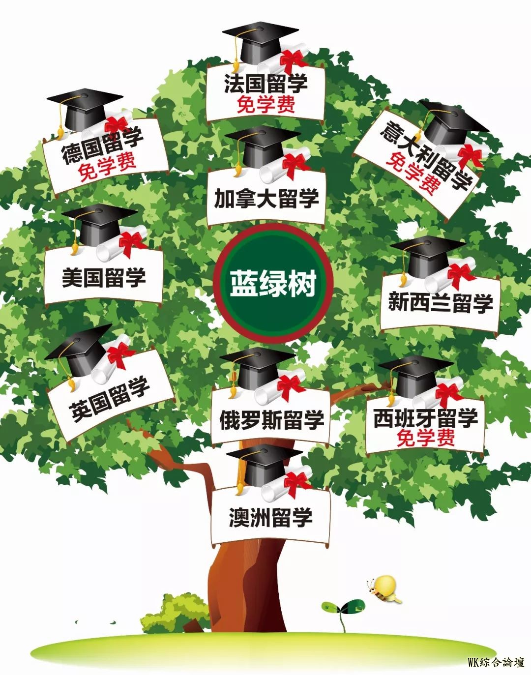 蓝绿树留学:美国留学 | 美国十大美食城市大盘点~-2.jpg
