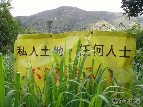 【香港旅游】香港的农村,也是别有一番特色!-9.jpg