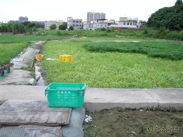 【香港旅游】香港的农村,也是别有一番特色!-16.jpg