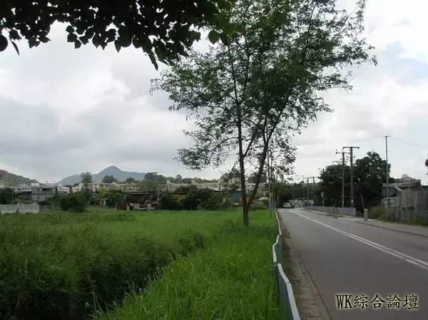 【香港旅游】香港的农村,也是别有一番特色!-13.jpg