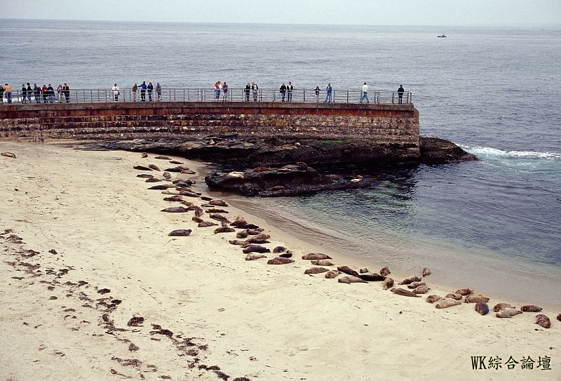 天使之城洛杉矶, 浪漫都市旧金山, 娱乐之都拉斯维加斯,美国的西海岸绚烂多姿-24.jpg