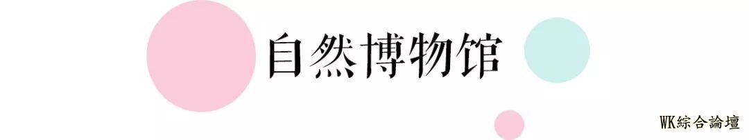 地铁13号线美食攻略来啦!19站,打卡29个人气地标!-100.jpg