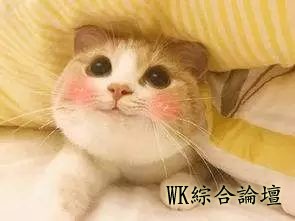 洛杉矶最近很火的网红餐厅吃到怀疑人生-1.jpg