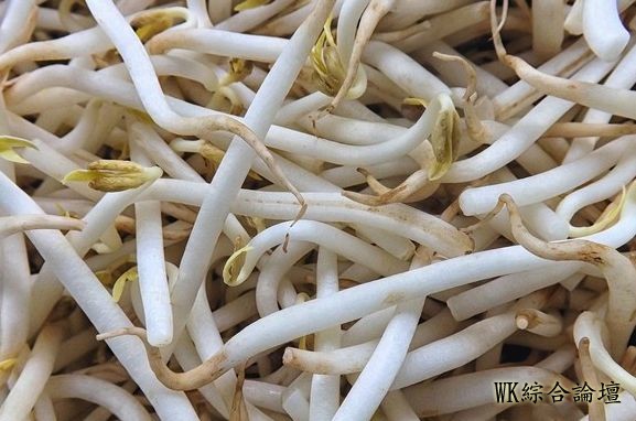 难瘦想哭?减肥最给力的9种食物曝光...豆芽菜竟是超强队友-6.jpg