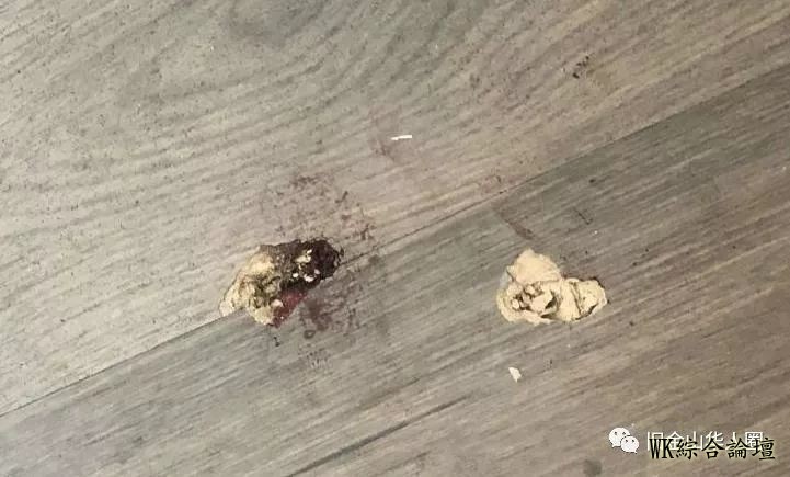 洛杉矶华人区突发命案!华人二房东被枪杀,满地是血,同居女友被拦现场外...-11.jpg