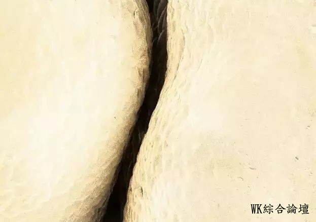 显微镜下食物表面的奇妙景象!-15.jpg